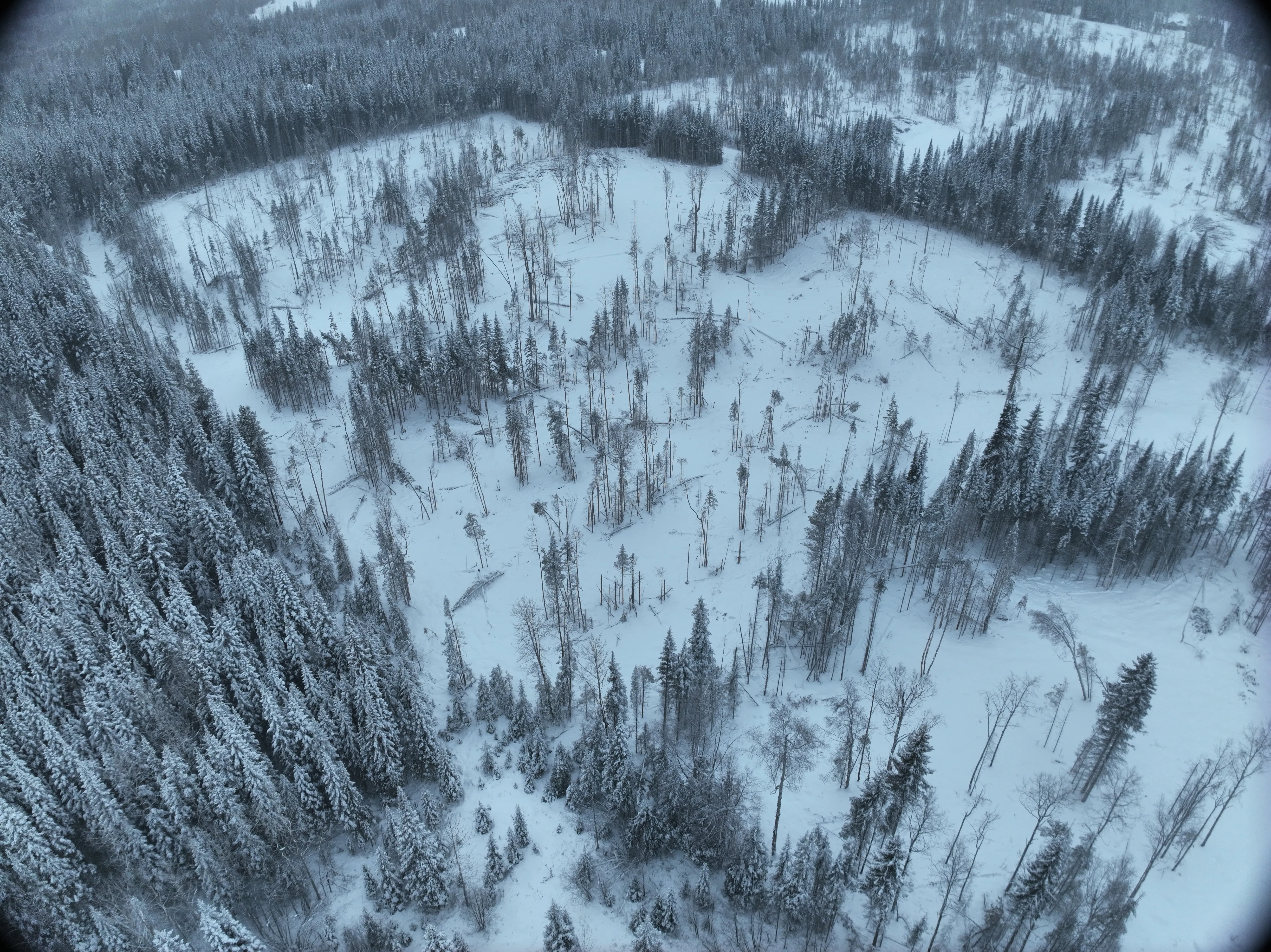 Residential lot feasibility aerial — hero